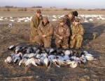 spring snow goose hunting