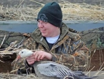 spring snow goose hunting