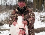 guided snow goose hunts