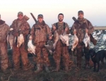 guided goose hunts