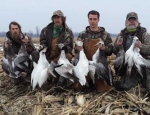 Missouri snow goose hunting