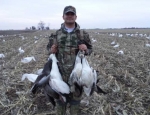 spring snow goose hunting