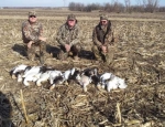 Missouri snow geese