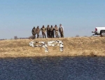 guided snow goose hunts