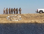 guided snow goose hunts