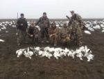 Missouri snow goose hunting