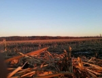 missouri duck hunting club