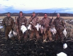 spring snow goose hunting