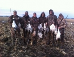 spring snow goose hunting