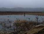 Missouri duck hunting guide