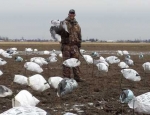 goose hunting Missouri