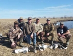 Missouri snow goose hunting