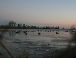 Missouri duck hunting