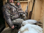 spring snow goose hunt