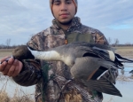 Pintail taken on a SEMO duck hunt