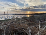 SE Missouri duck and goose hunting