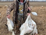 SEMO hunter with some snow geese