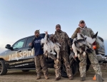 semo snow goose hunt