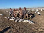 snow goose hunt