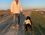 snow goose hunter and his hunting dog