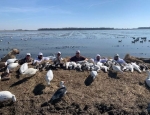 snow goose hunters at the pit