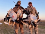 snow goose hunting Missouri